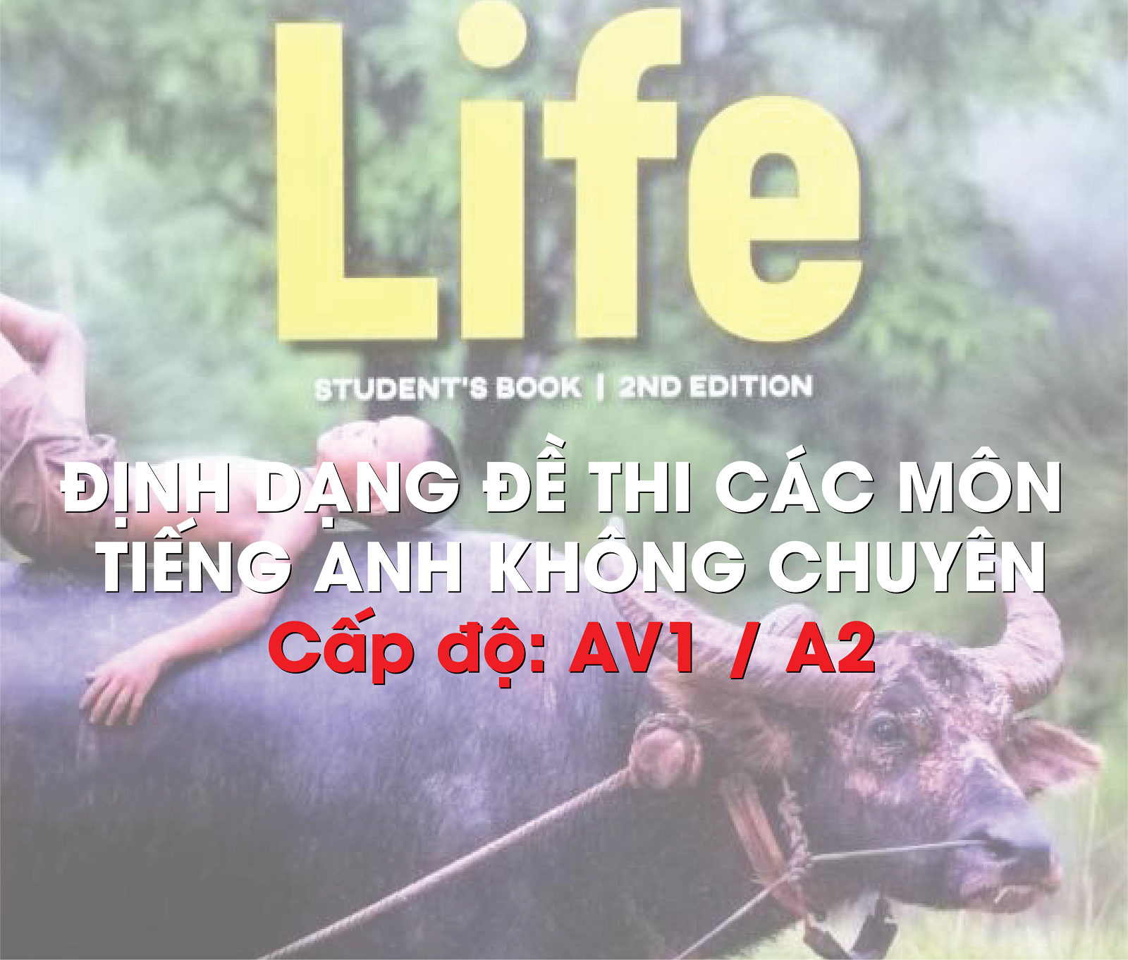 Các dạng đề thi anh văn 1/ anh văn a2 (theo hình thức trực tuyến)