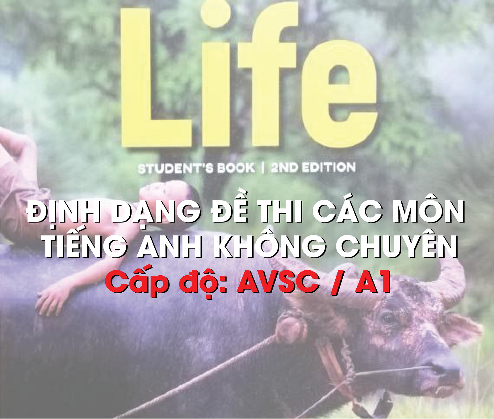Các dạng đề thi anh văn sơ cấp/ anh văn a1 (theo hình thức trực tuyến)